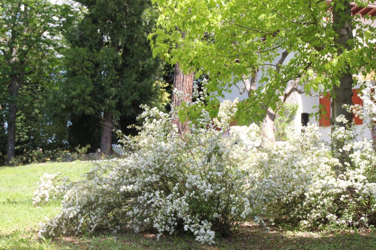 La Villa Del Nonno Montefelcino Εξωτερικό φωτογραφία